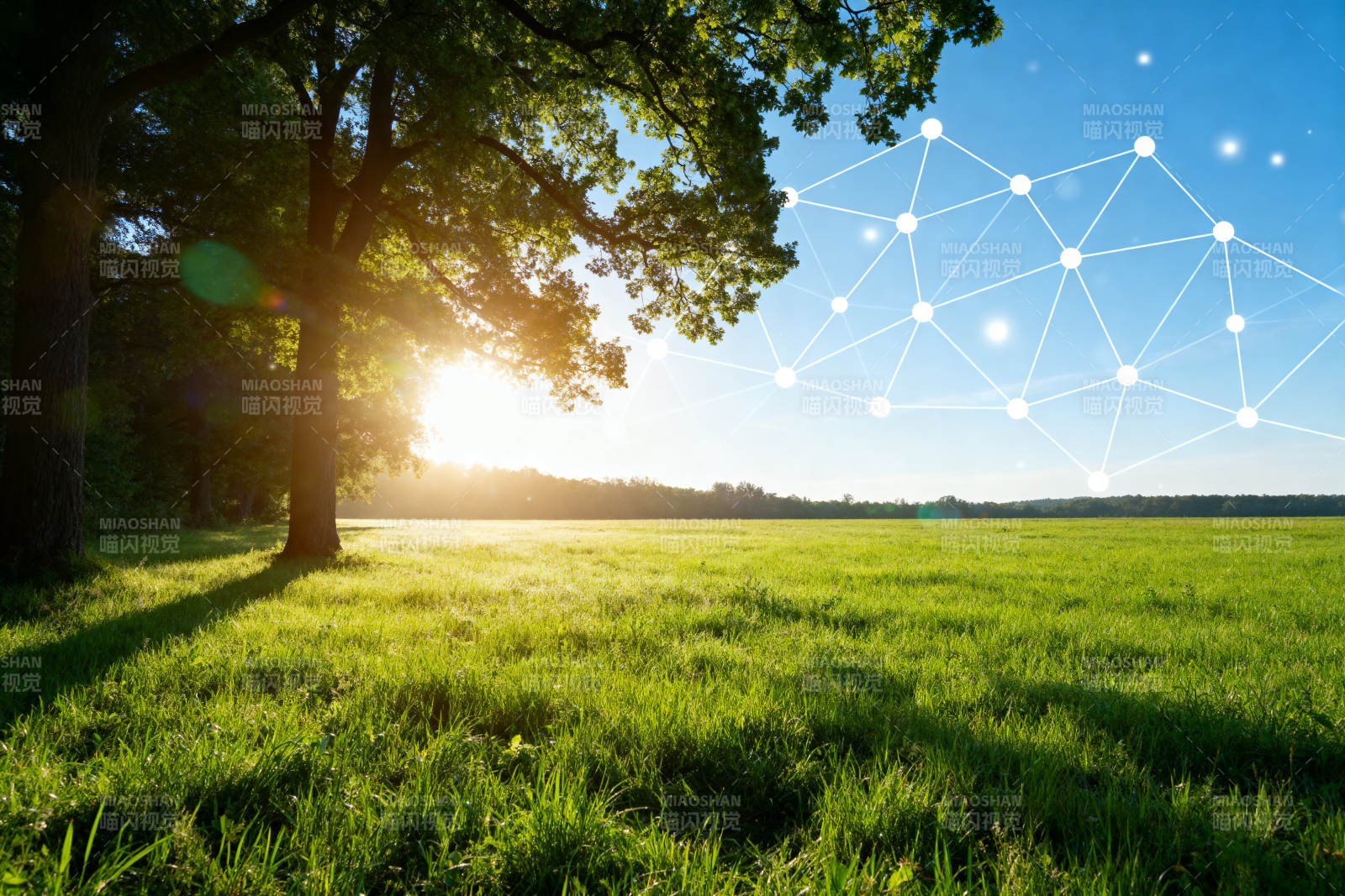 科技与自然的融合图片