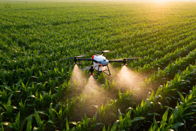 无人机喷洒农药在田间图片
