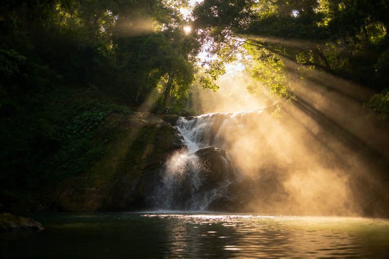 阳光穿透森林瀑布图片