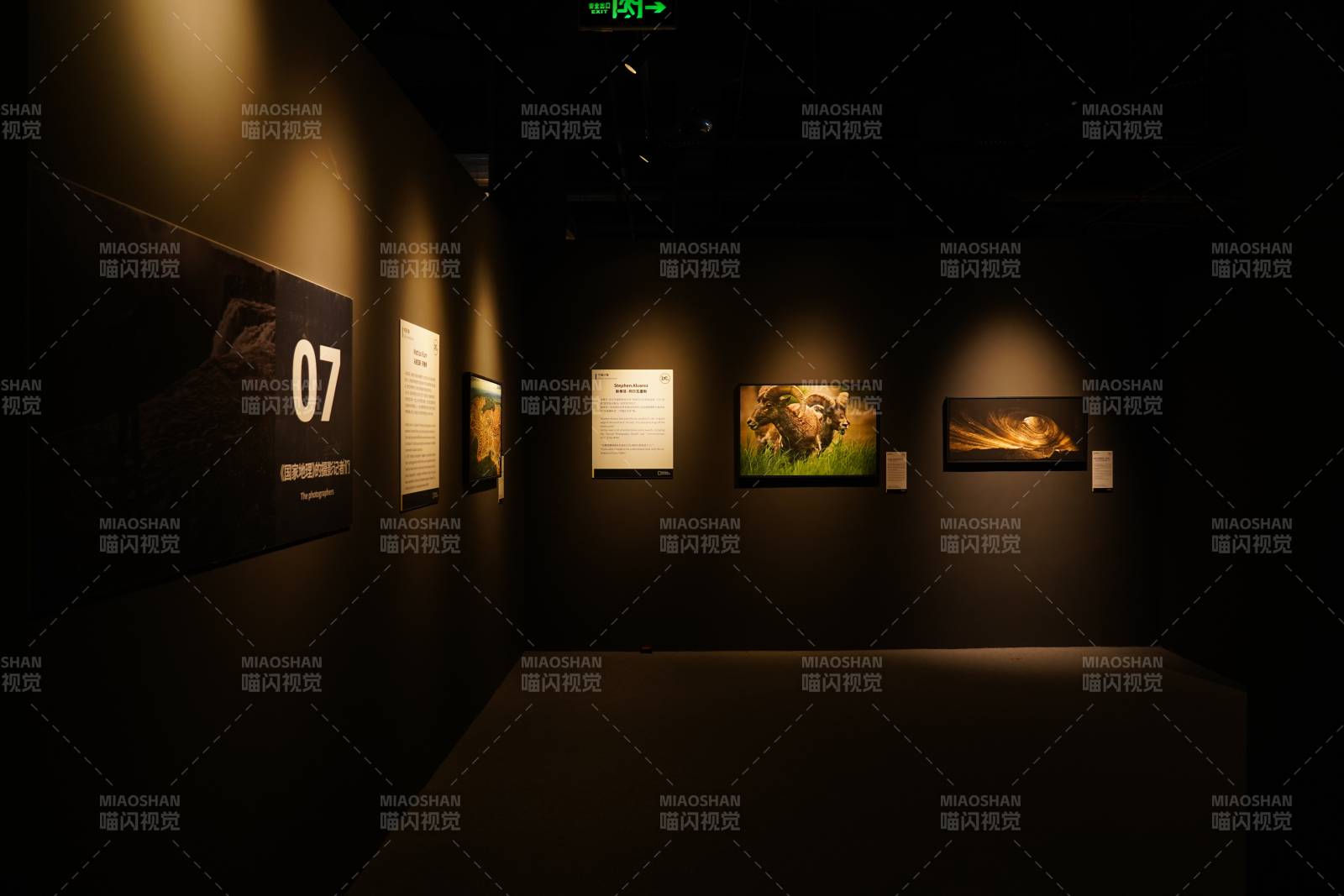 光影艺术展图片