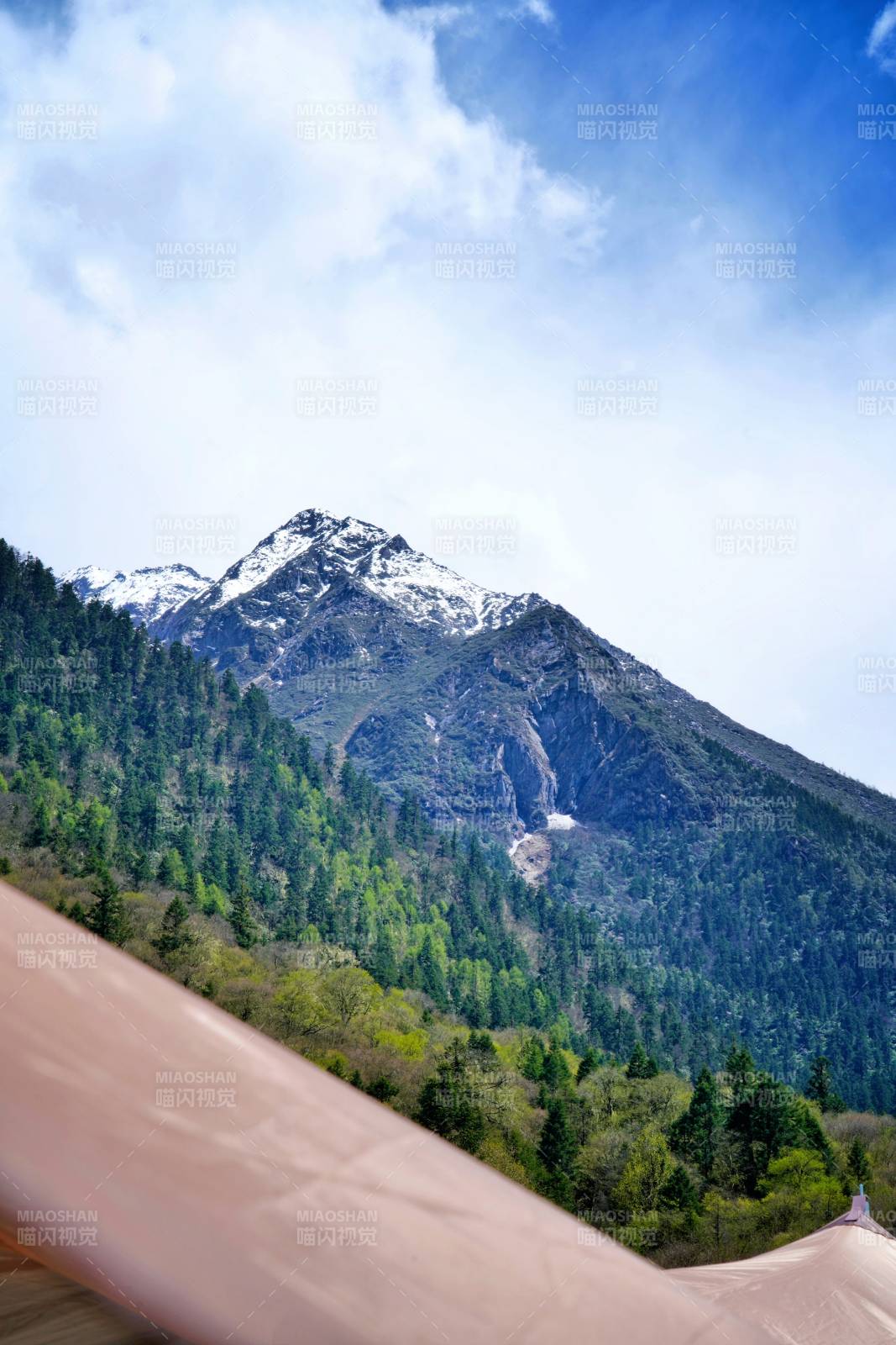 理小路上的雪山绿谷风光图片
