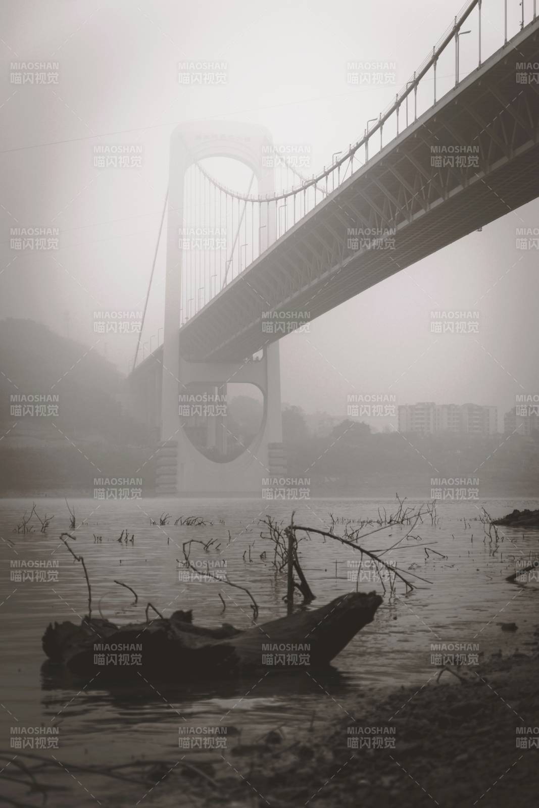 重庆郭家沱大桥图片