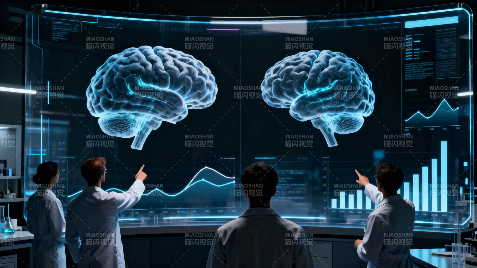 科学家研究大脑三维模型图片