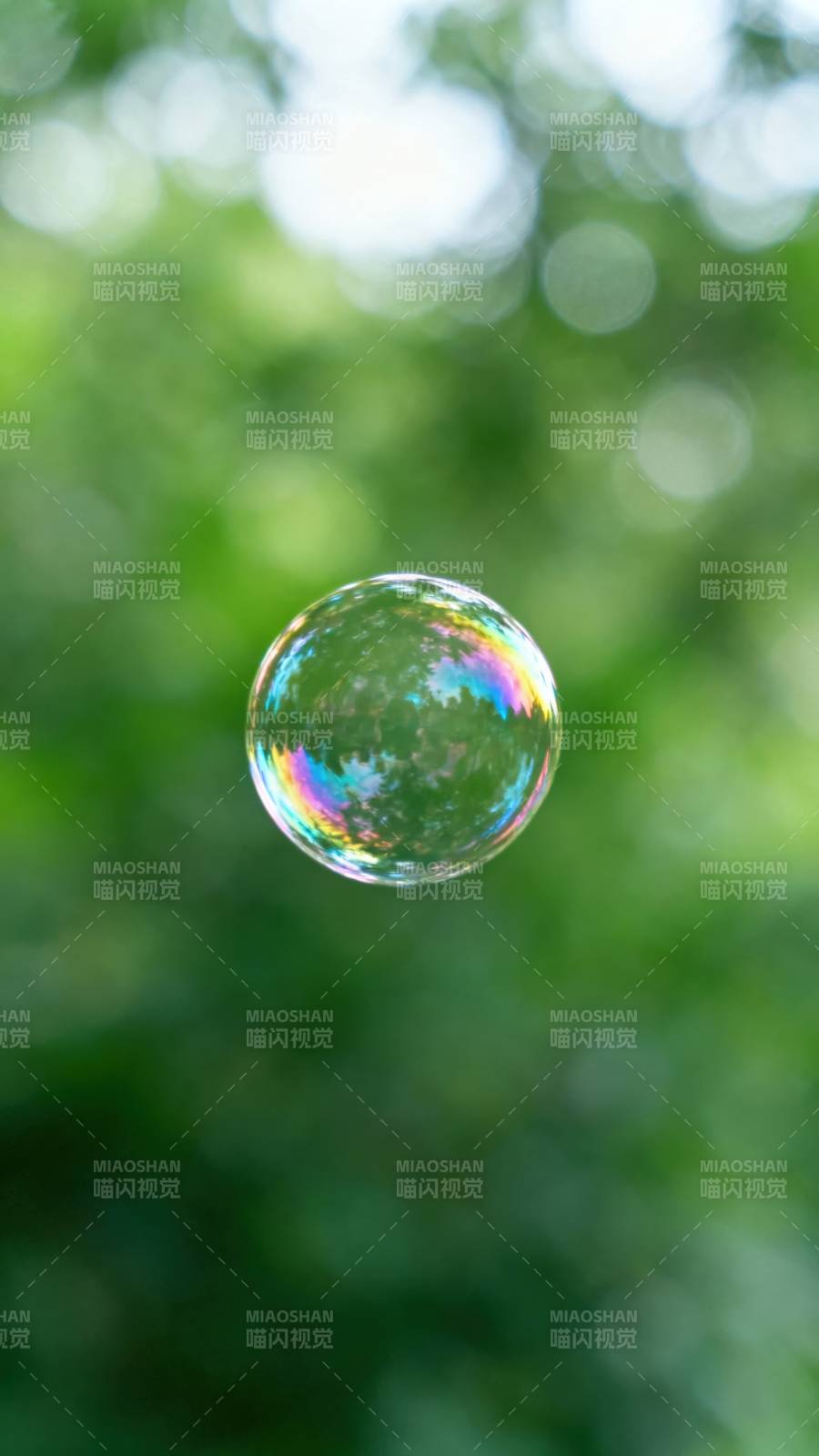 彩虹泡泡飘浮绿意中图片