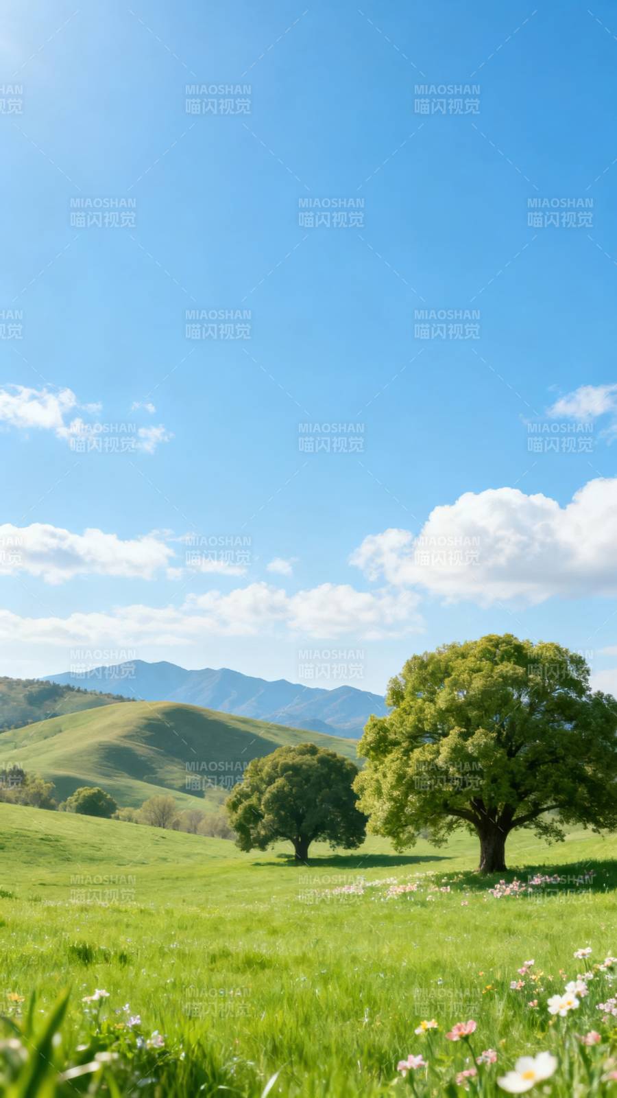 春日绿野风光图片