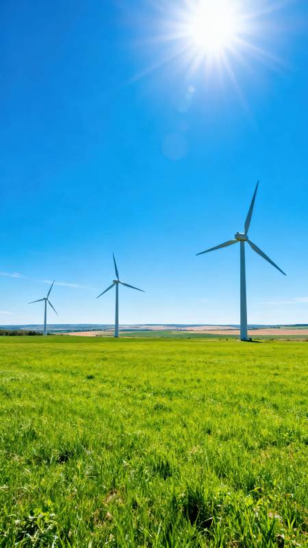 风车绿野阳光照图片