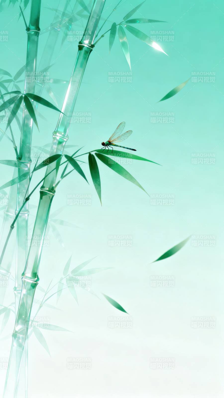 竹影蜻蜓图片
