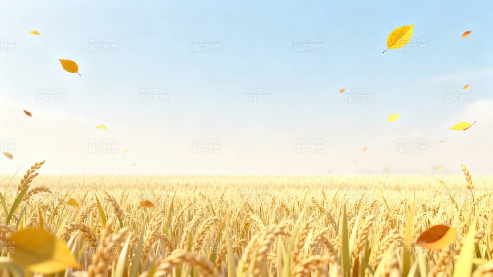 金黄稻田秋日丰收图片