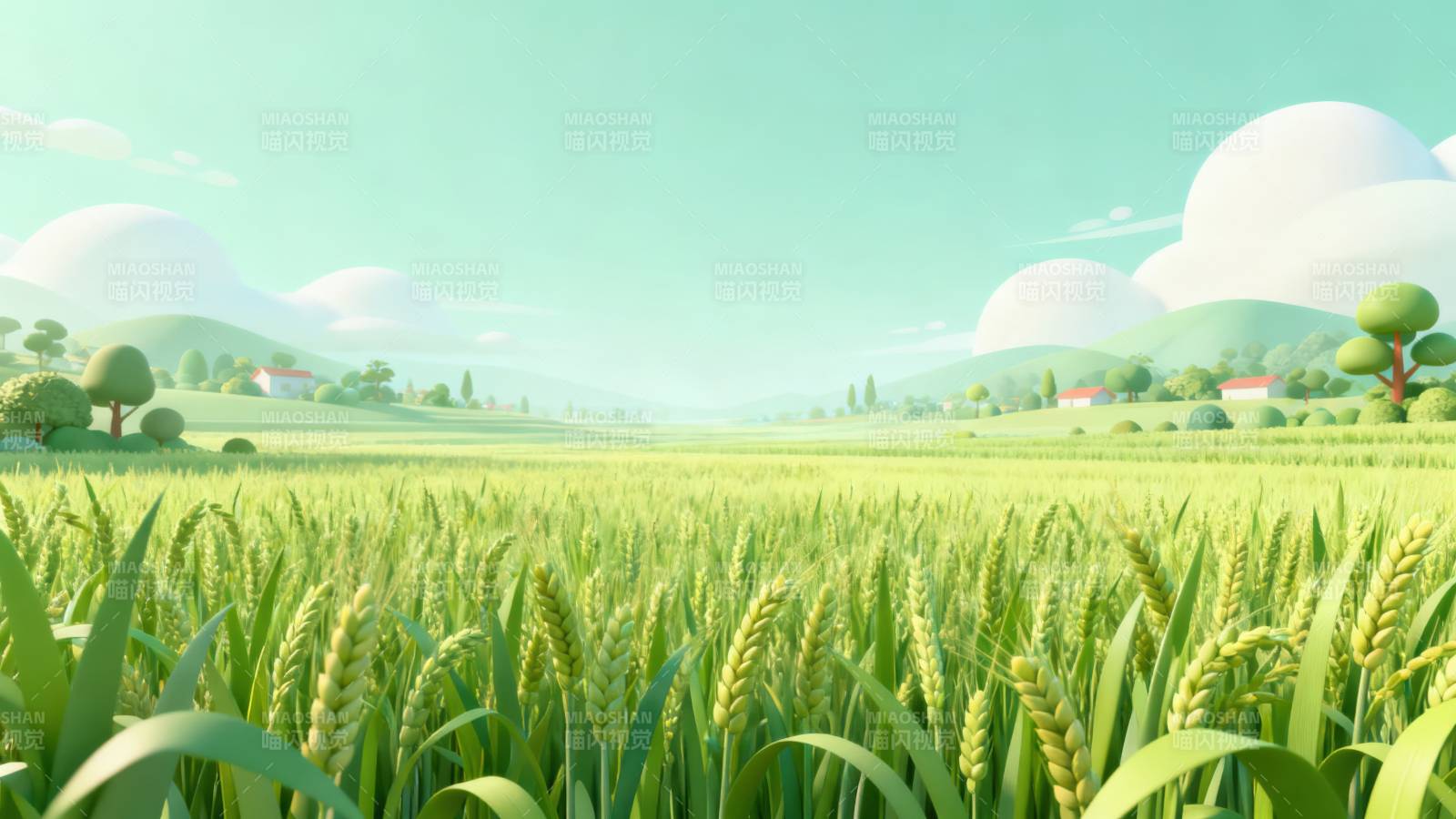 青翠麦田乡村风光图片