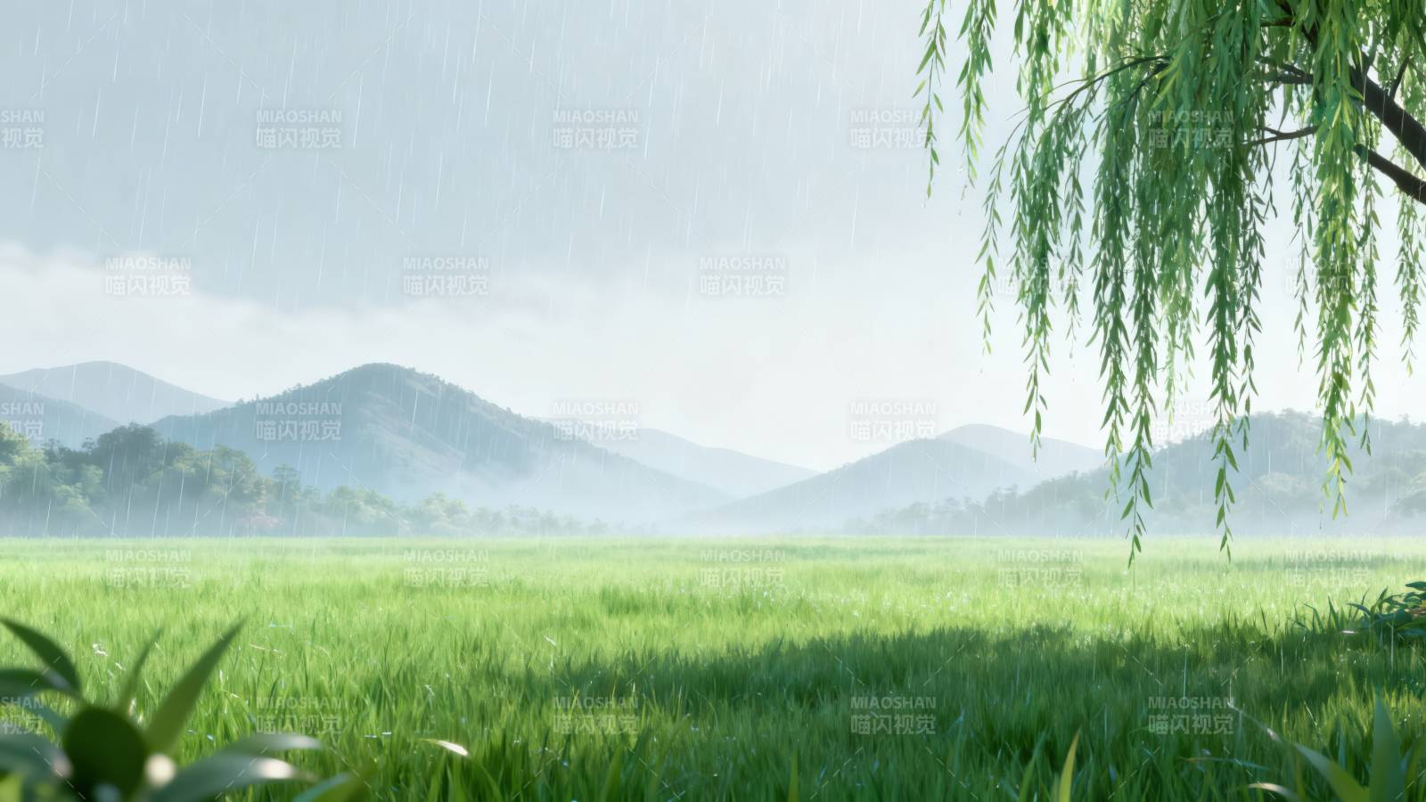 雨中绿野青山如画图片