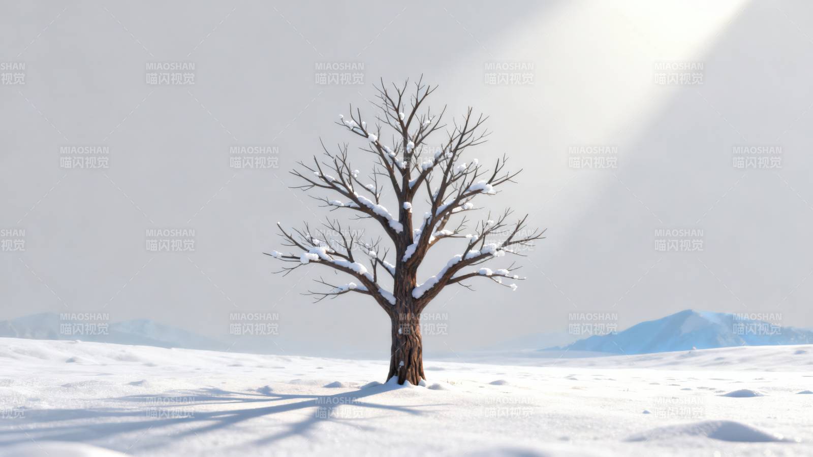冬日雪地孤树风景图片