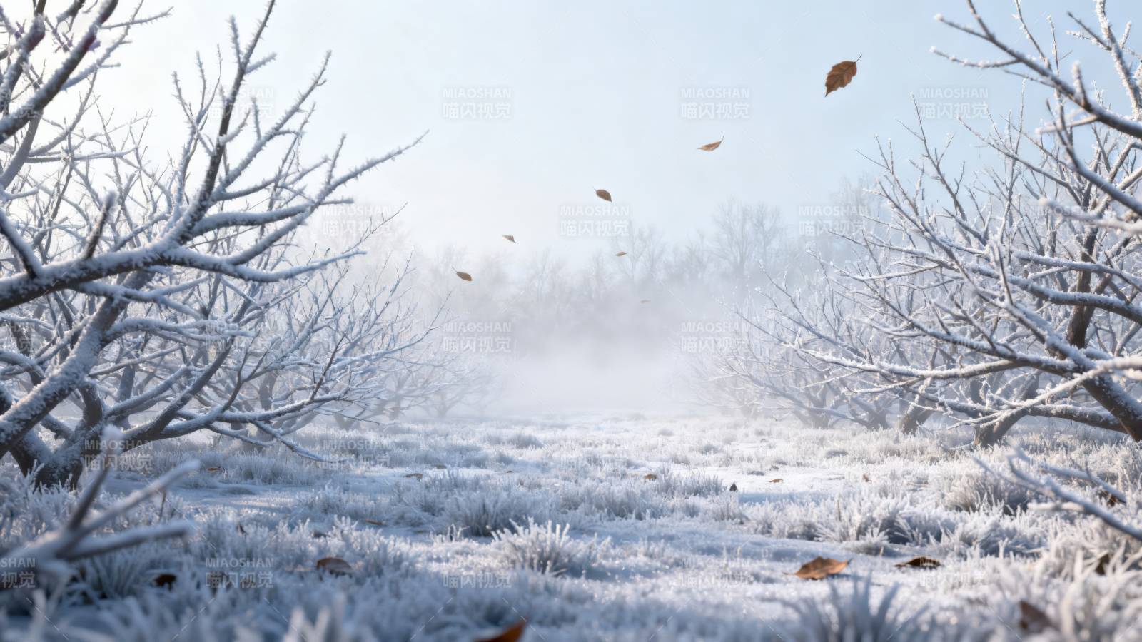 冬日雪地霜冻树枝图片