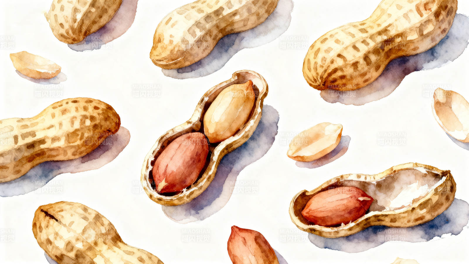 水彩花生图案展示图片