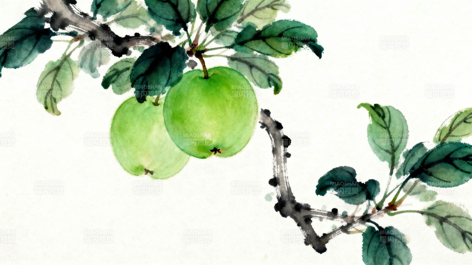 水墨青苹果枝头图片