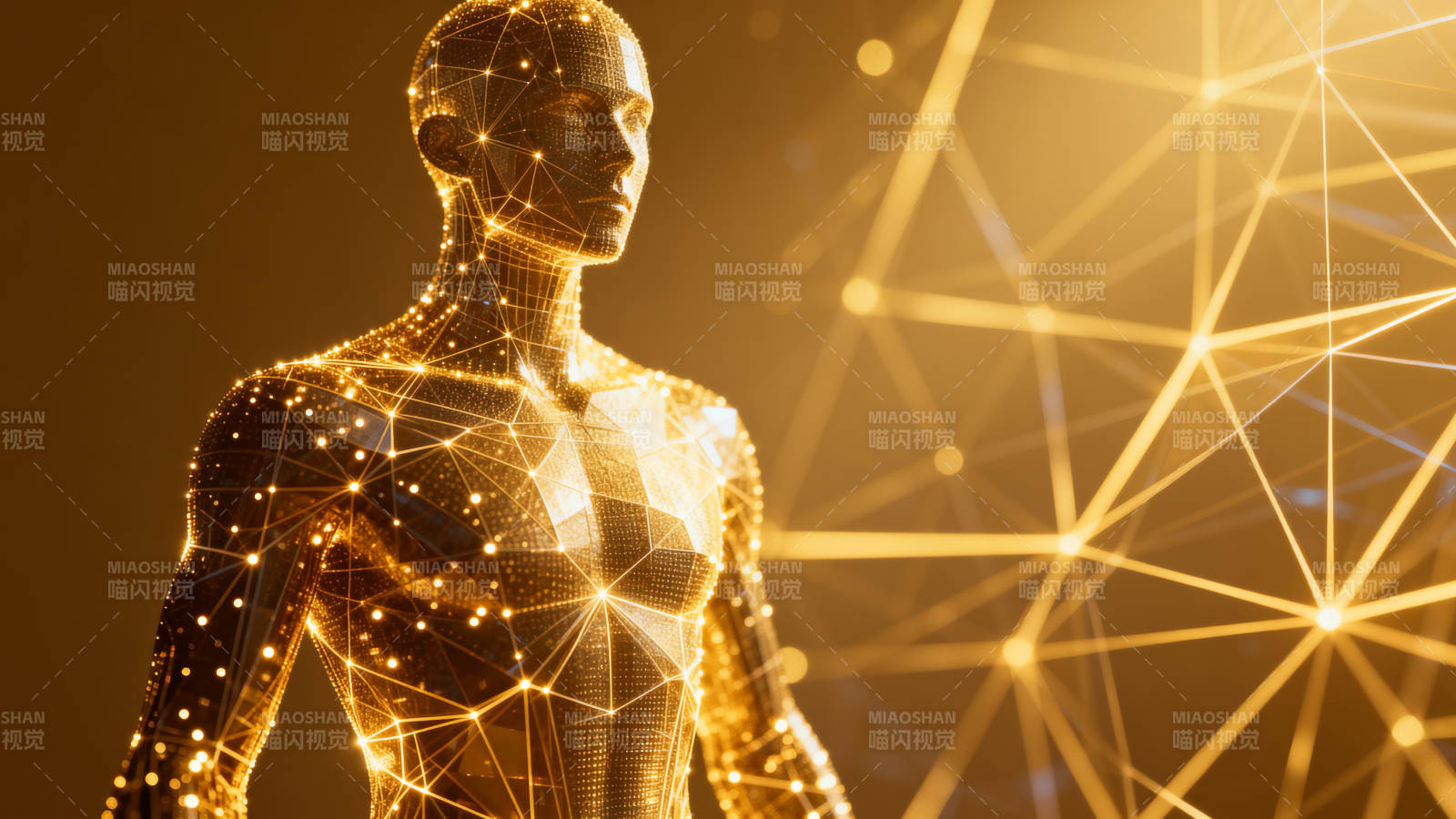 数字人体科技网络图片
