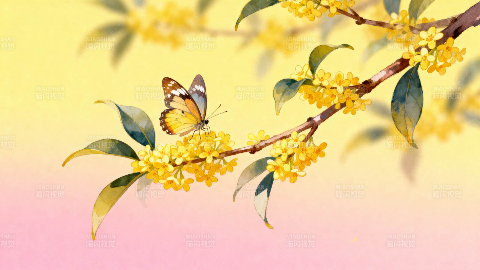 桂花枝头蝴蝶舞图片