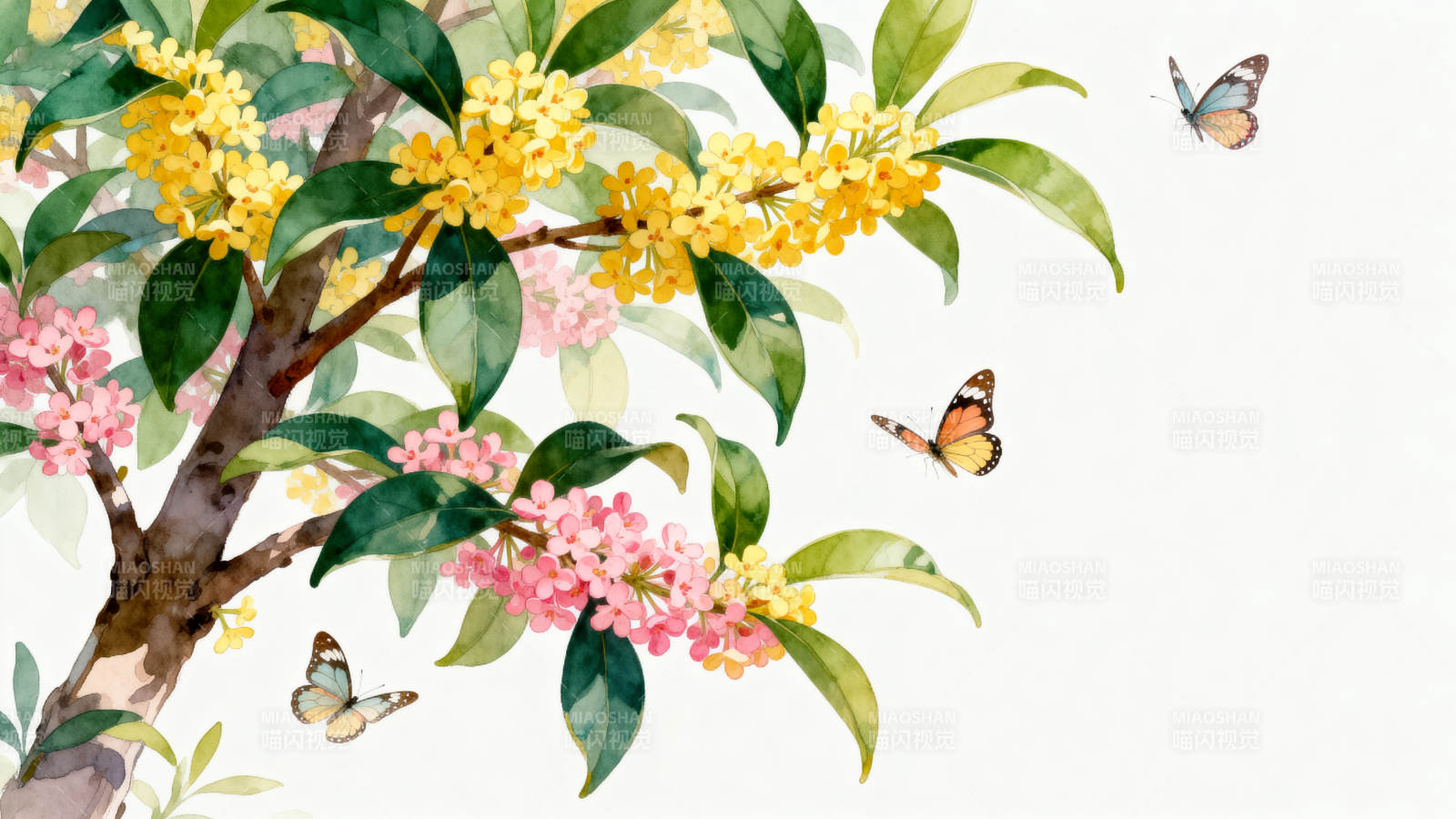 桂花盛开蝴蝶飞舞图片