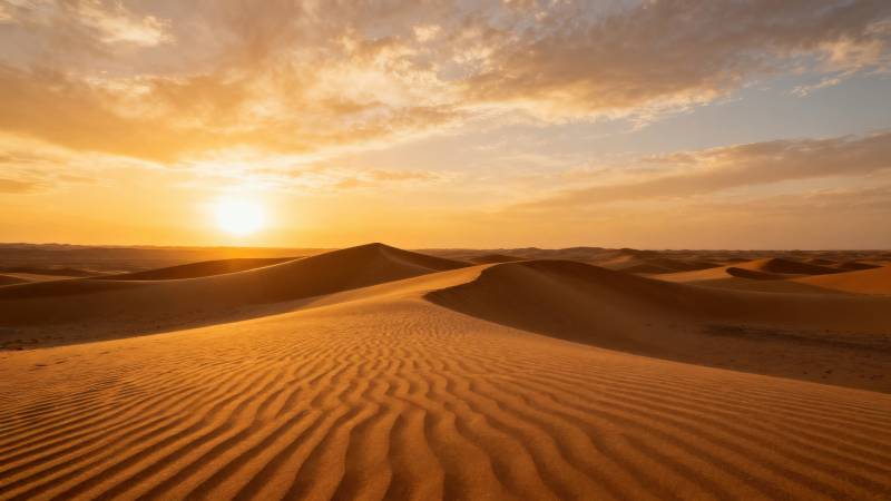 沙漠日落金黄沙丘图片