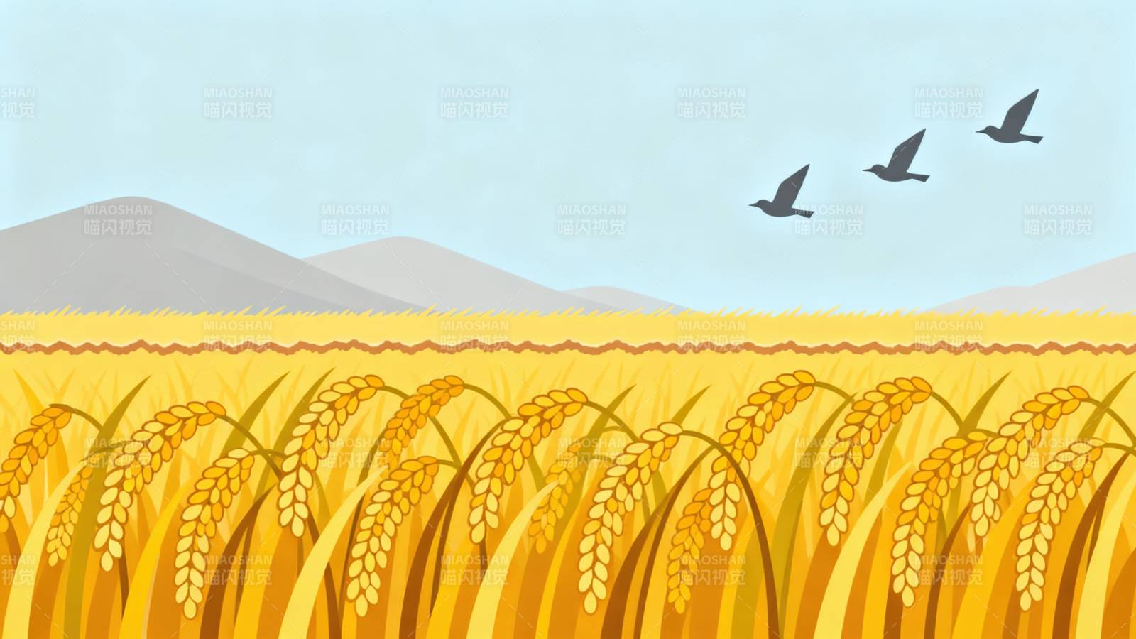 金黄稻田丰收景象图片