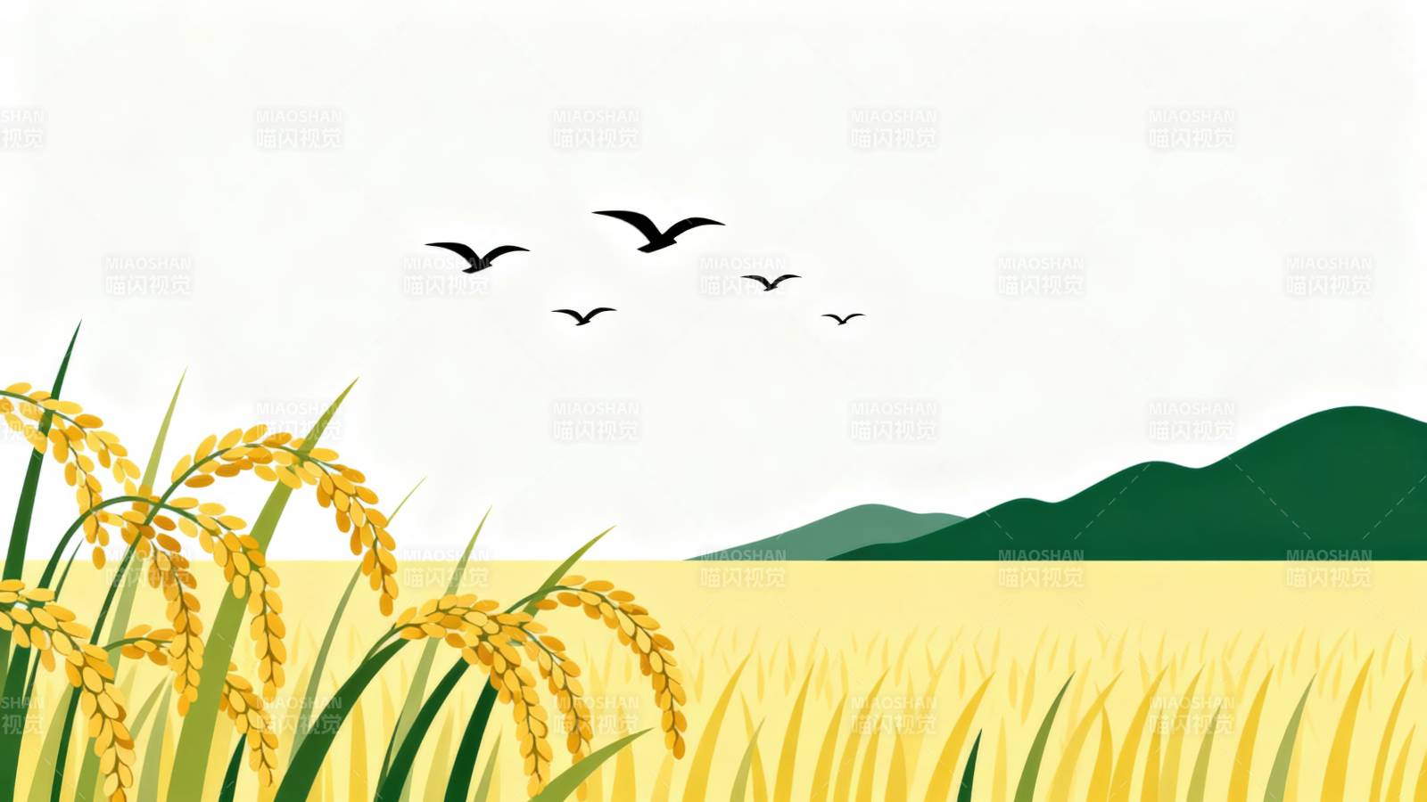 金黄稻田丰收景象图片