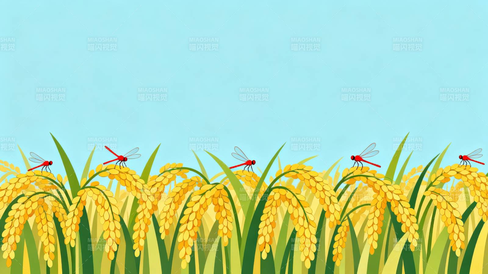 稻田丰收红蜻蜓图片