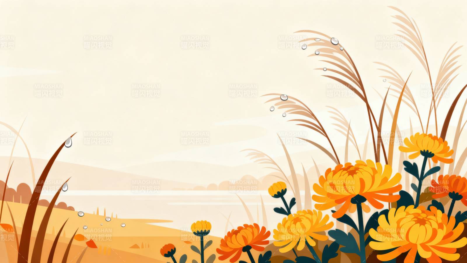 秋日菊花与芦苇图片