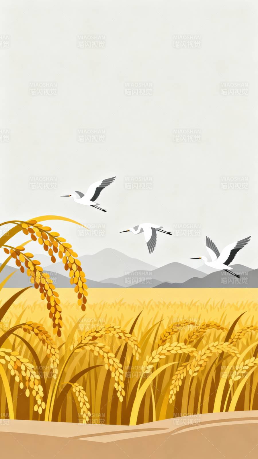 金黄稻田白鹭飞图片