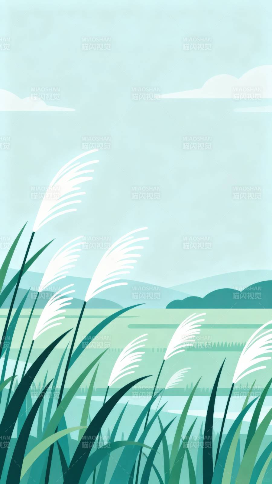 芦苇荡的宁静风景图片