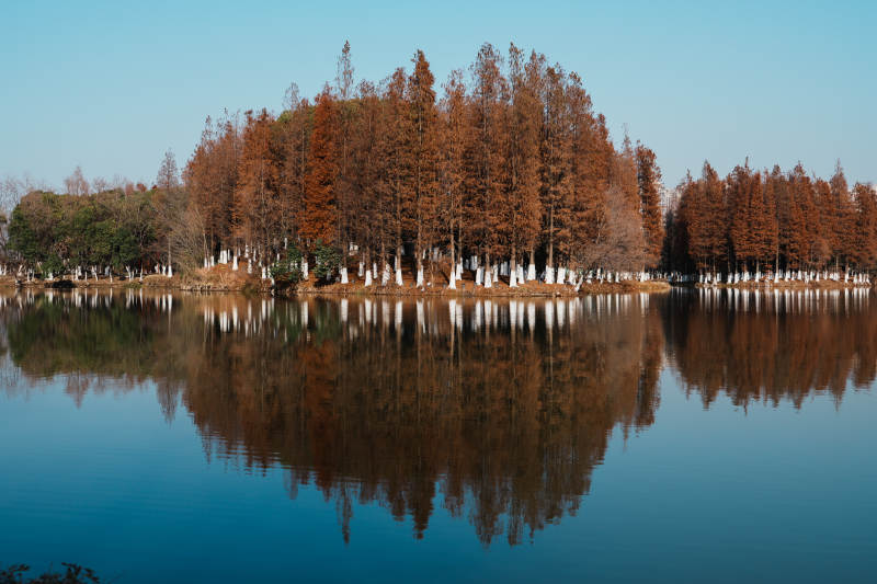 湖畔秋林倒影图片
