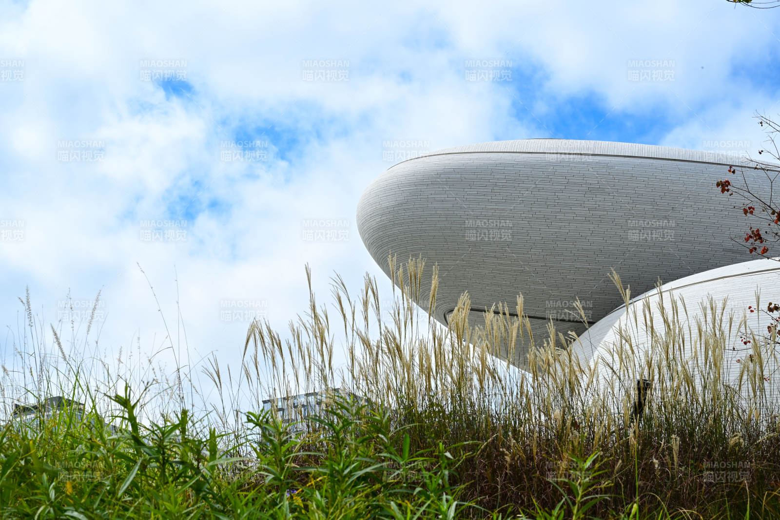 深圳文化广场蓝天白云下的现代艺术建筑景观图片