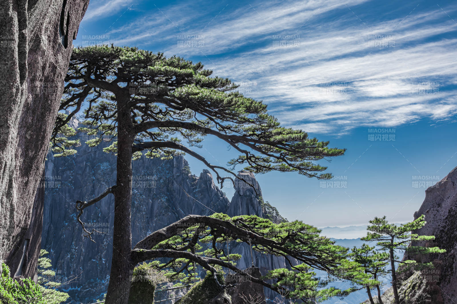 黄山松石奇景  黄山图片