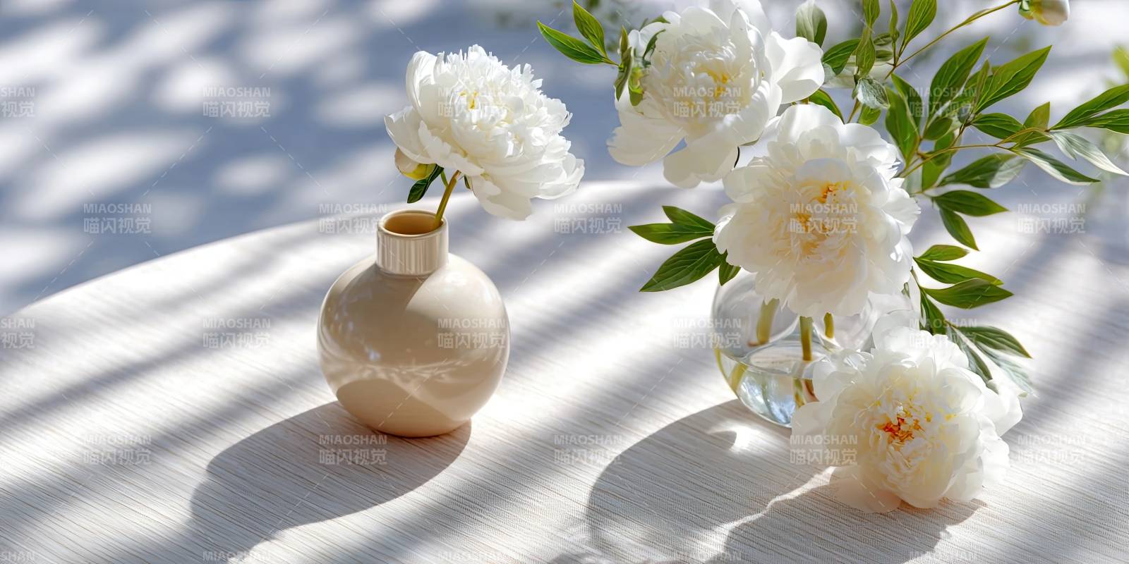 阳光下的白色牡丹花瓶静物图片