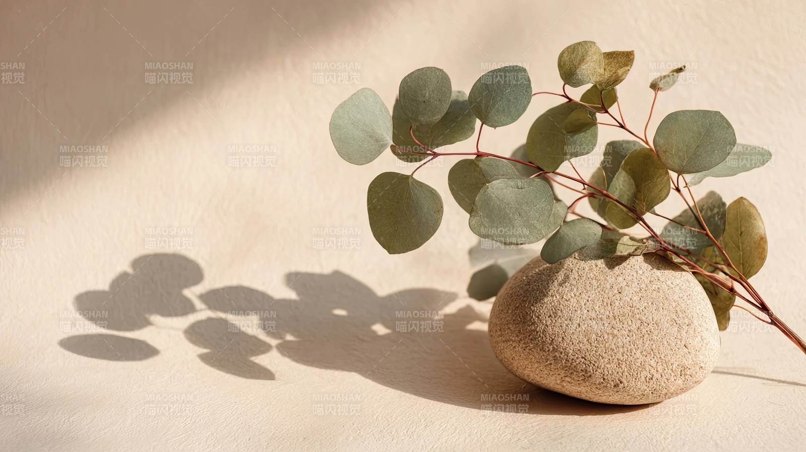 石头上的绿叶光影静物图片