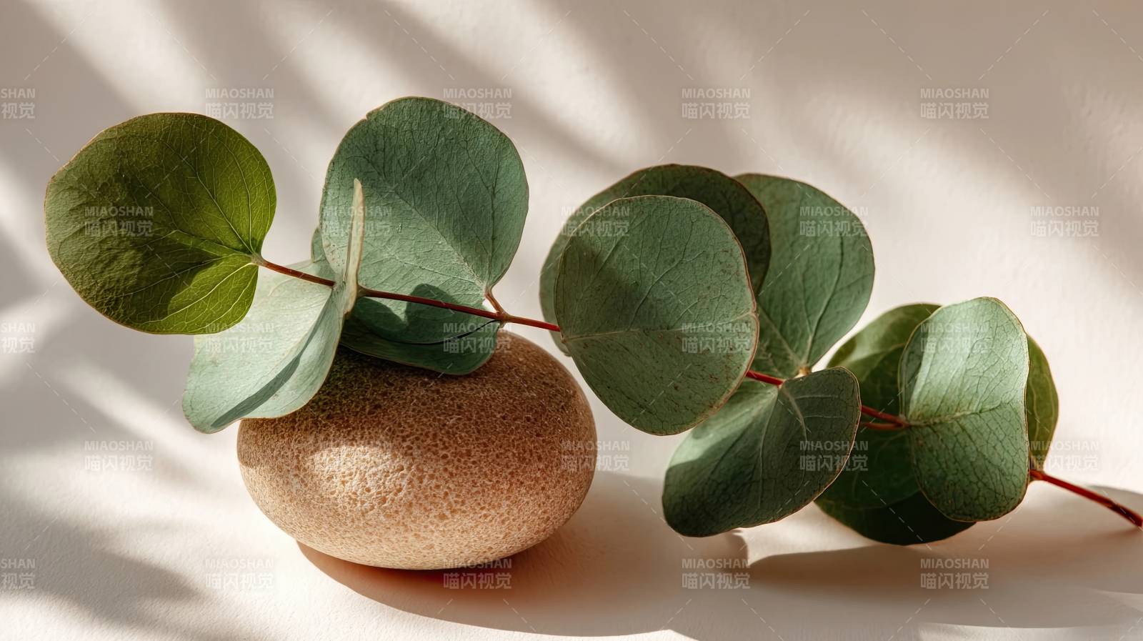 绿叶与石球光影静物图片