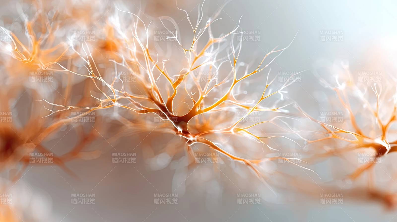 神经元细胞微观结构特写图片