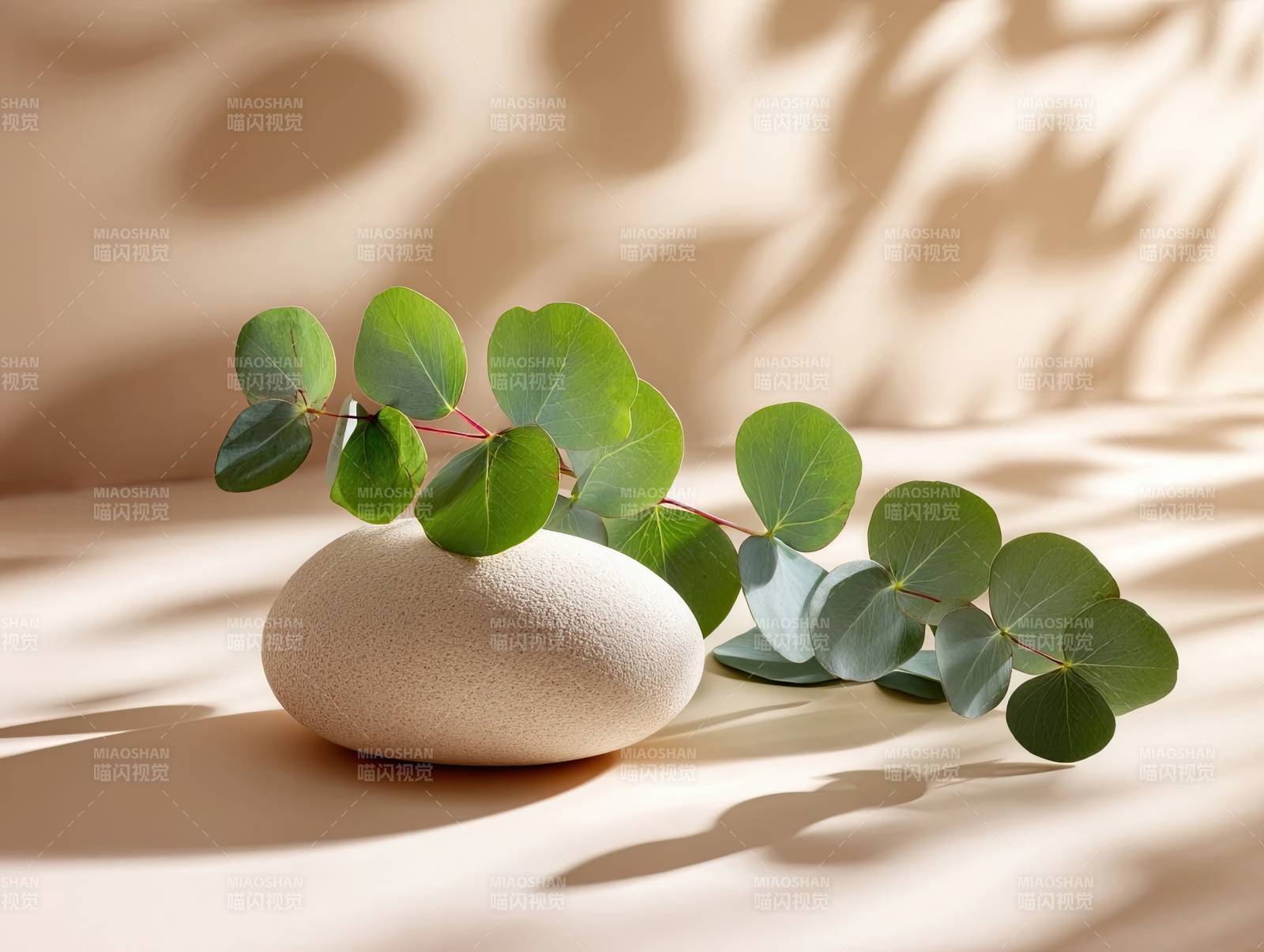 光影下的绿叶与石器静物图片