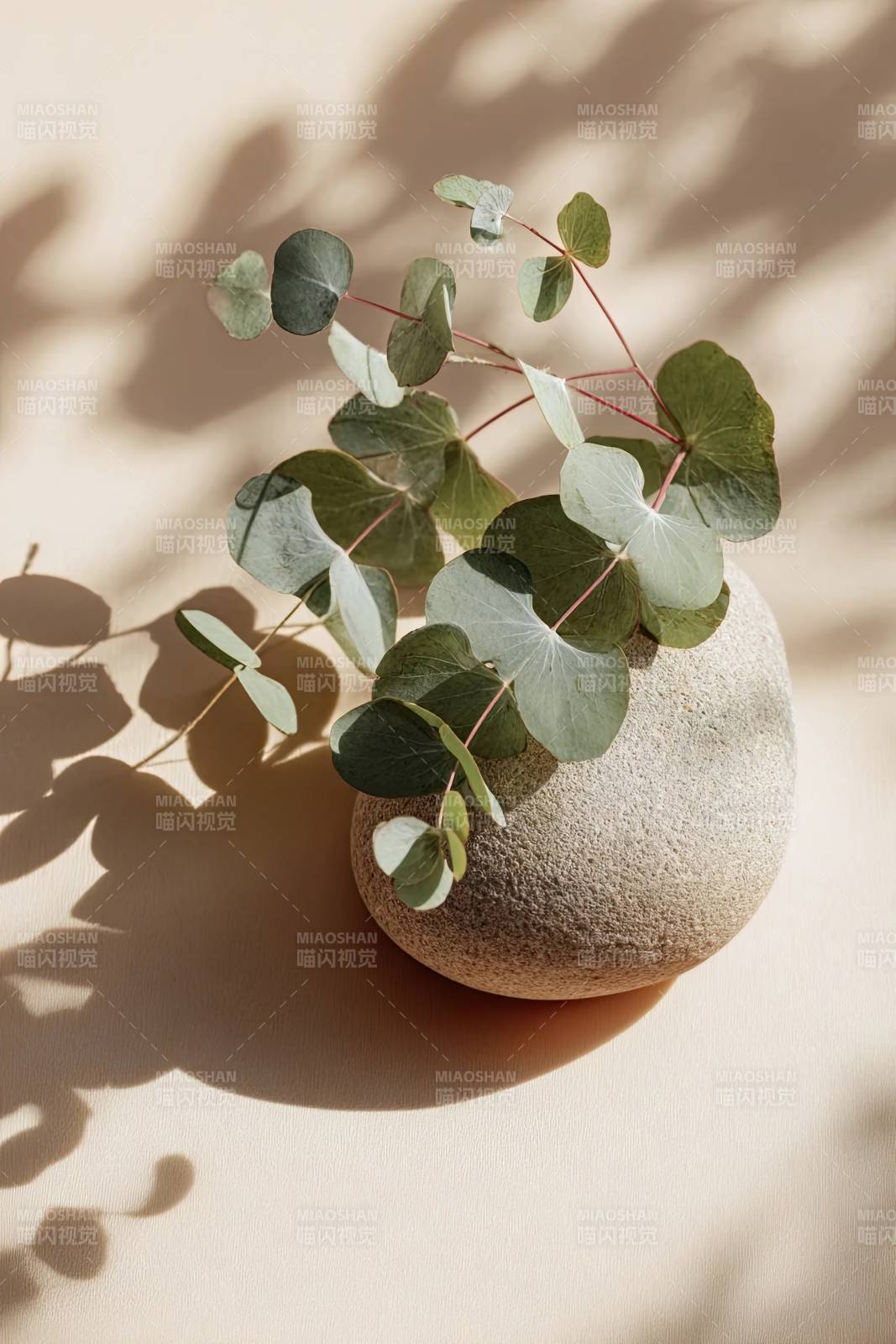 绿叶石罐光影静物图片