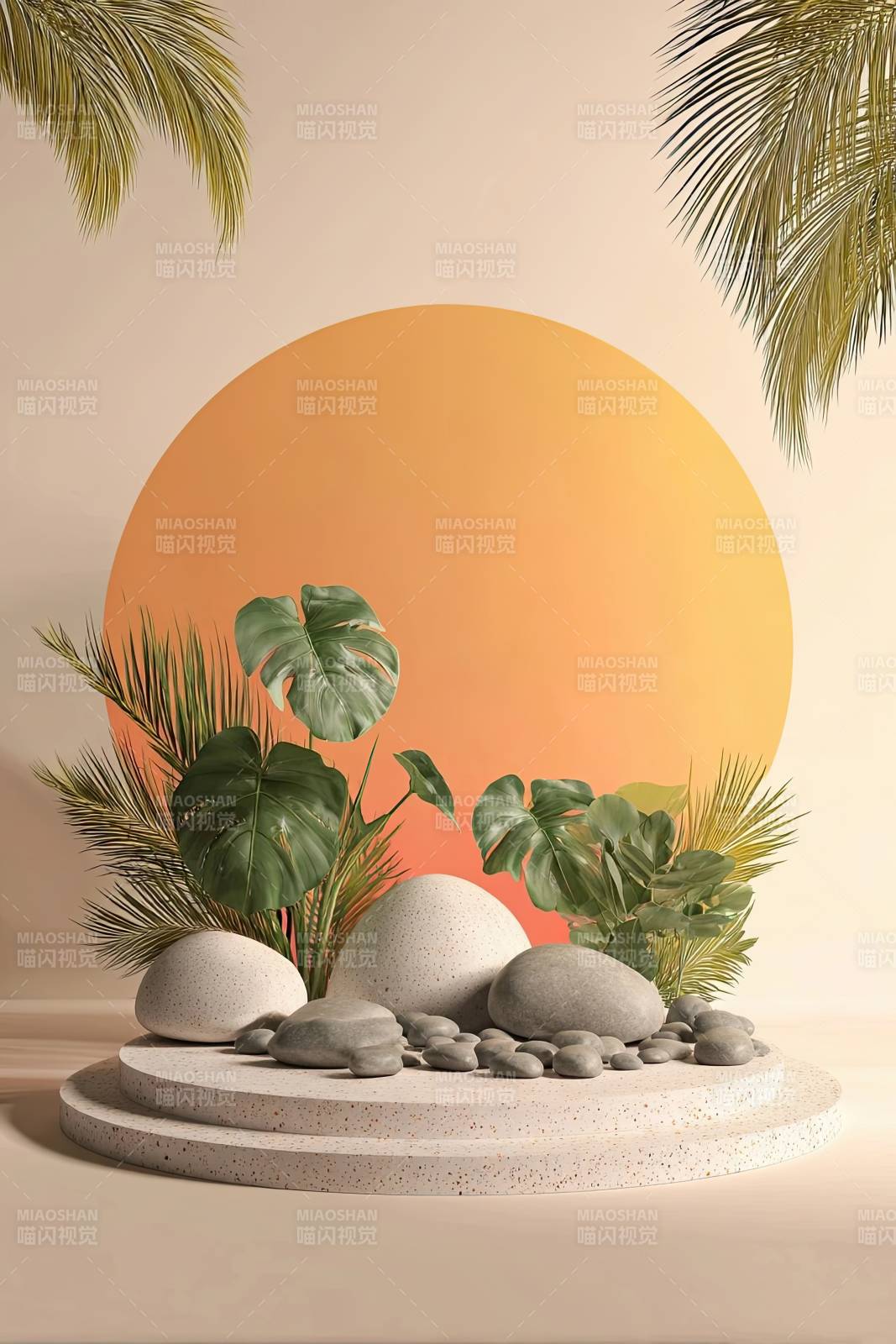 热带植物与圆形背景的静物摆拍图片