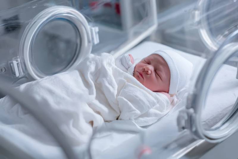 新生儿在保温箱中安睡图片