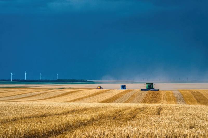 麦田收割机作业场景图片