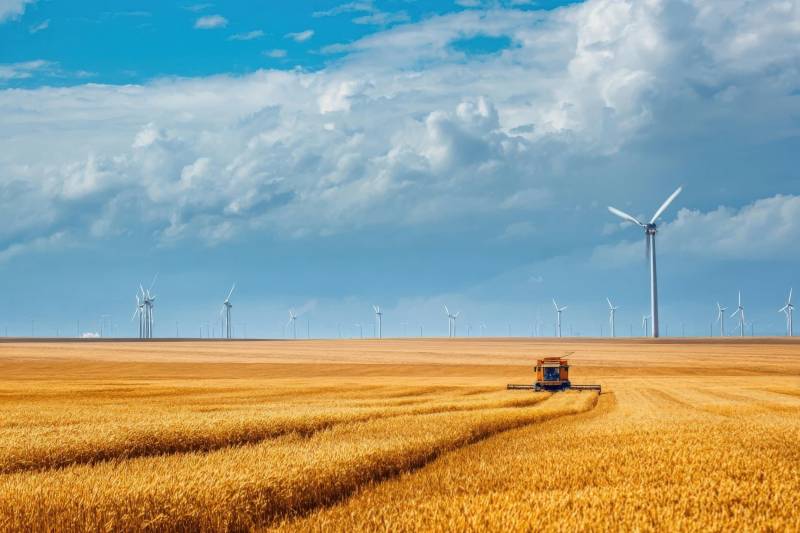 麦田收割与风力发电图片