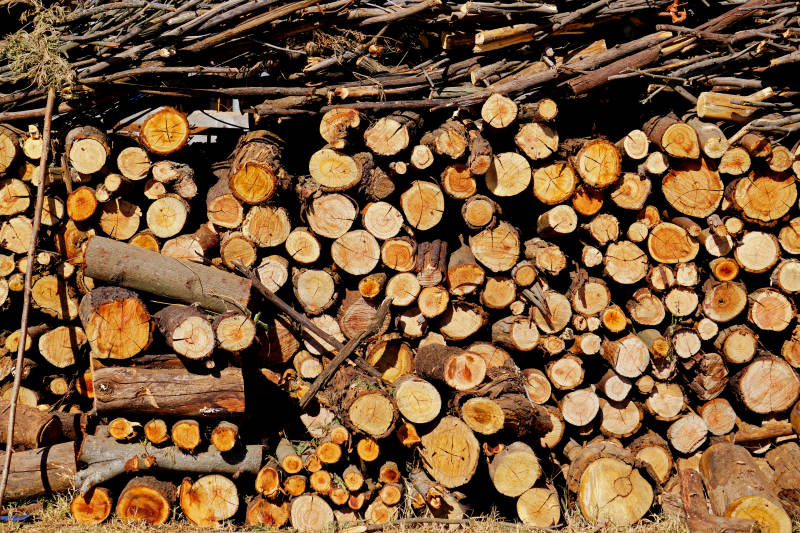 整齐堆放的原木图片