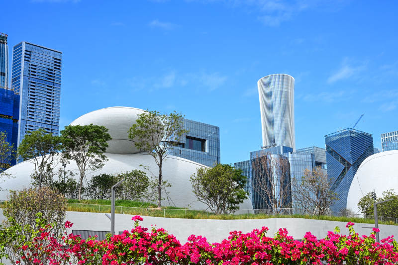 蓝天白云下的深圳现代城市建筑群与花卉景观图片