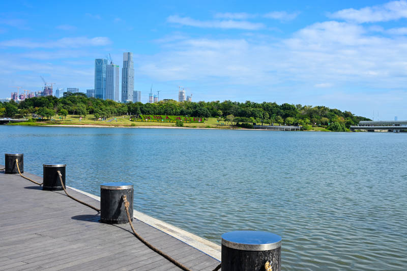 深圳人才公园现代建筑与海边栈道景观图片