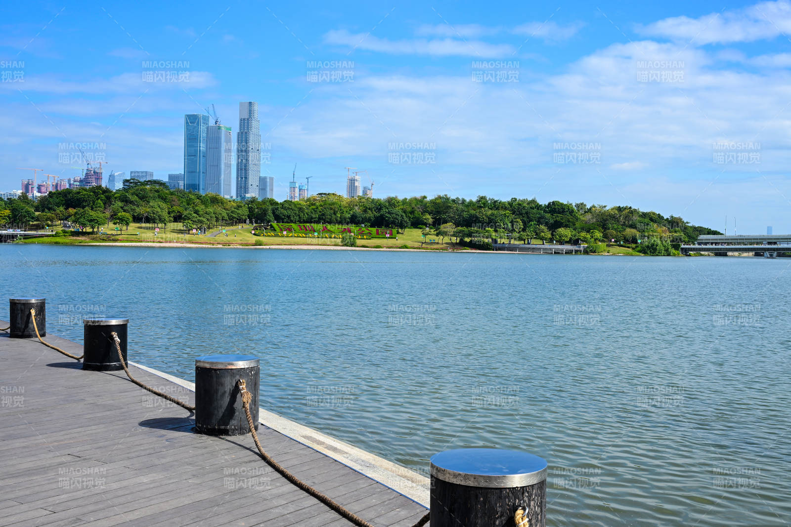 深圳人才公园现代建筑与海边栈道景观图片