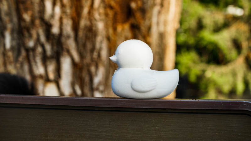 颐和园白鸭静坐树影间图片