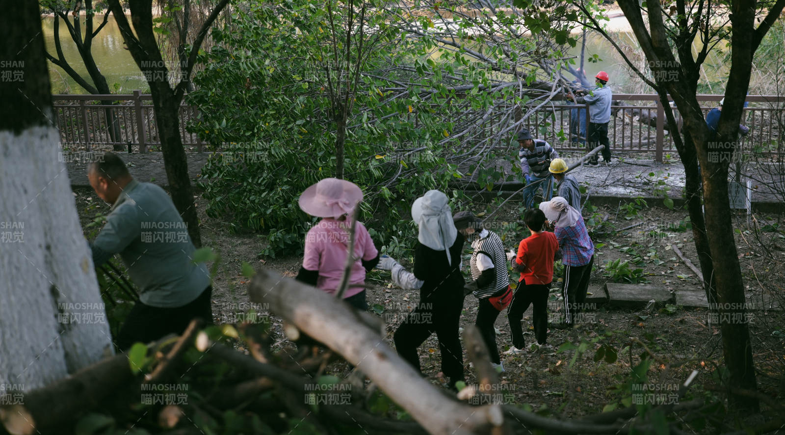 园中劳作的人们图片
