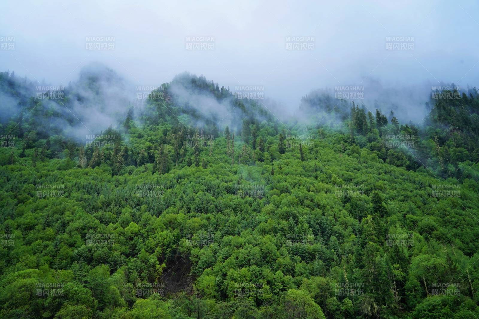 夹金山云雾缭绕的青山图片
