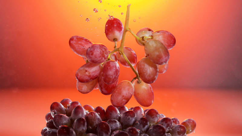 红提落水瞬间特写图片