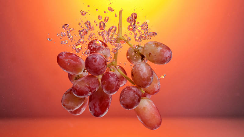 红提落水瞬间特写图片